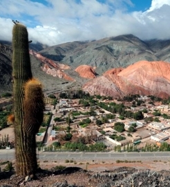 salta